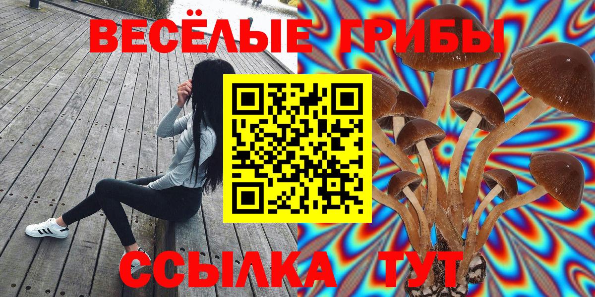 Галлюциногенные грибы GOLDEN TEACHER Орск