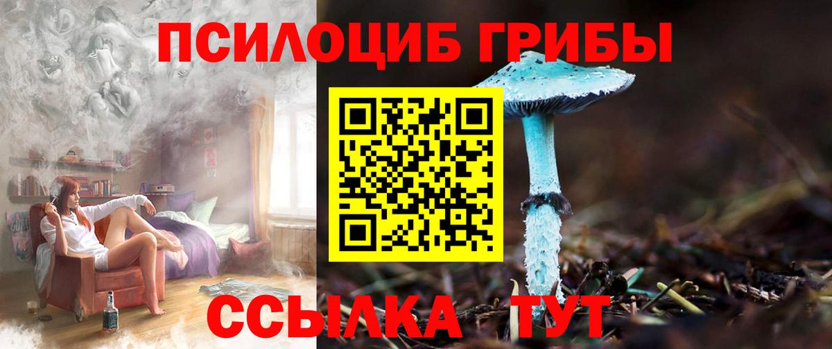 Псилоцибиновые грибы Cubensis  Псилоцибиновые грибы GOLDEN TEACHER  Вход с VPN  Орск 